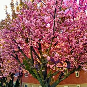 Meet your Posher, Uneek